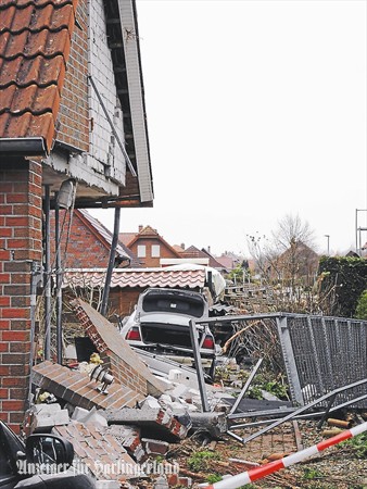 auto faehrt in gartenhaus 2